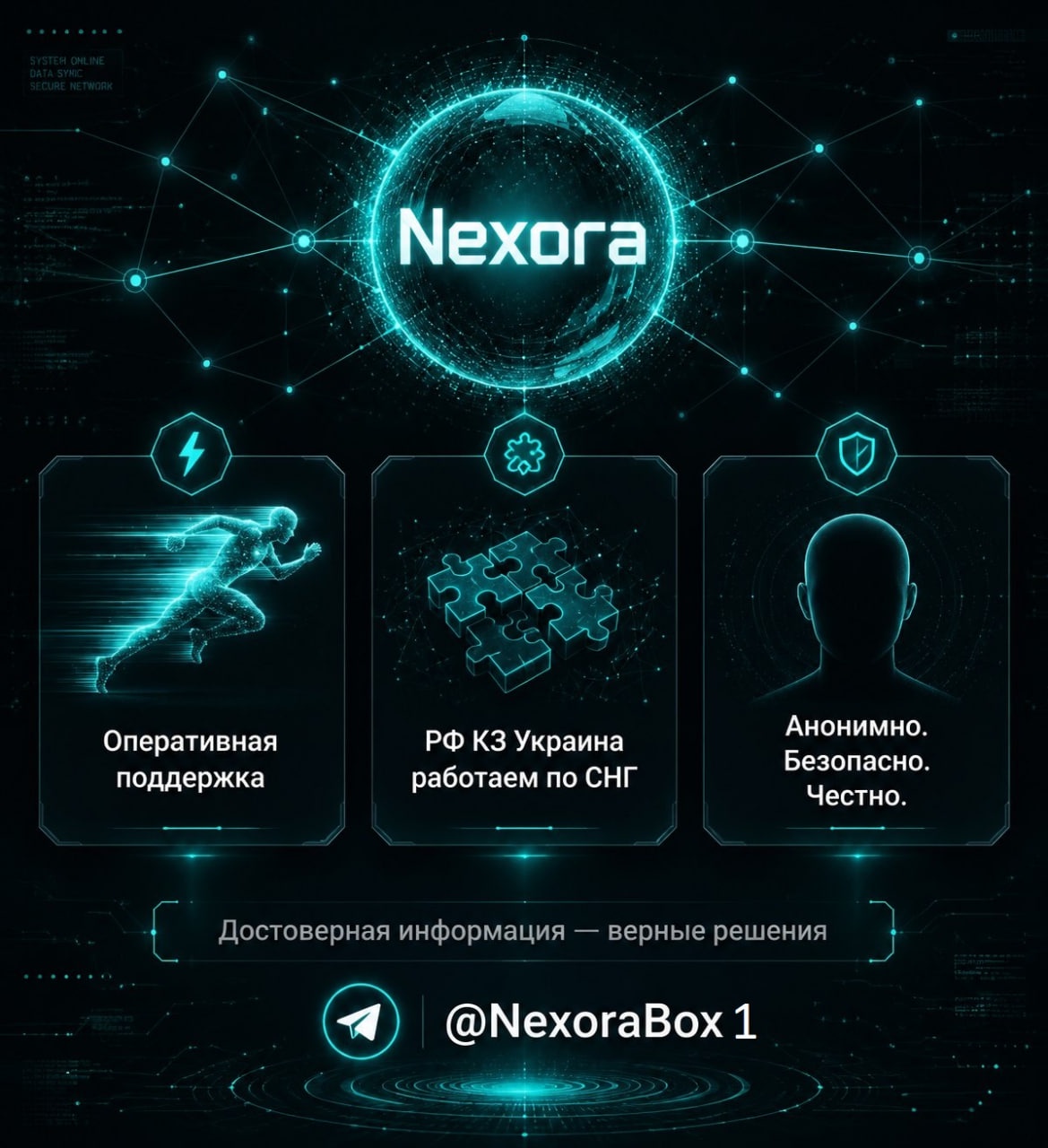 r1wDxWP.jpeg